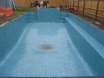 Swimmingpoolwithgree1.jpg